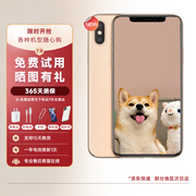 【第三方屏幕】Apple iPhone XS MAX 苹果 xs 苹果 xsmax 4G全网通 苹果xs【金色】 9成新 256G 第三方屏幕【六期免息】